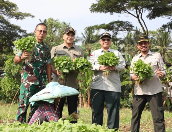 bupati_dampingi_wamentan_koranpelita.co