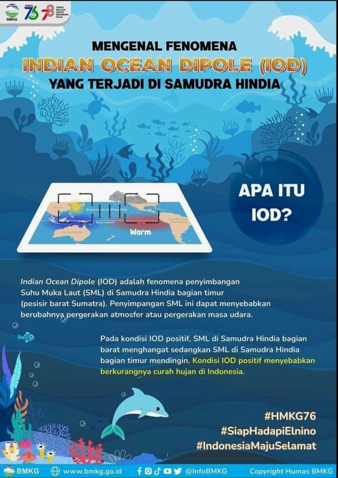 dampak elnino_koranpelita.co
