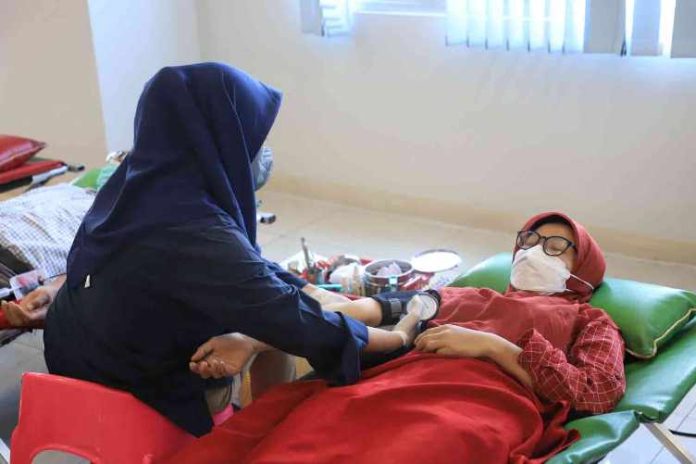 donor darah pmi_koranpelita.co