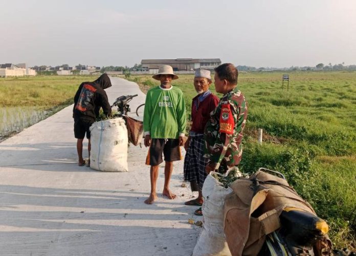 jalan TMMD_koranpelita.co