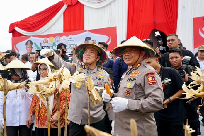 Polri panen jagung_koranpelita.co