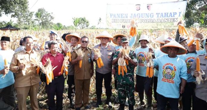 polda banten panen jagung_koranpelita.co
