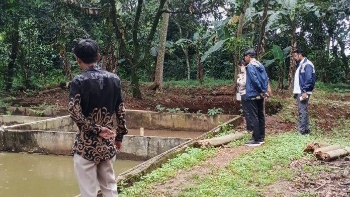 peninjauan kolam ikan BUMDes Tunas Sejahtera oleh Dinas Perikanan