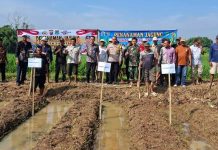 Personel Koramil 09/ Mauk Hadiri Tanam Jagung Hibrida BUMDes Rancalabuh