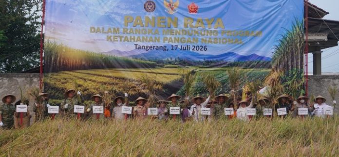 panen raya TNI_koranpelita.co