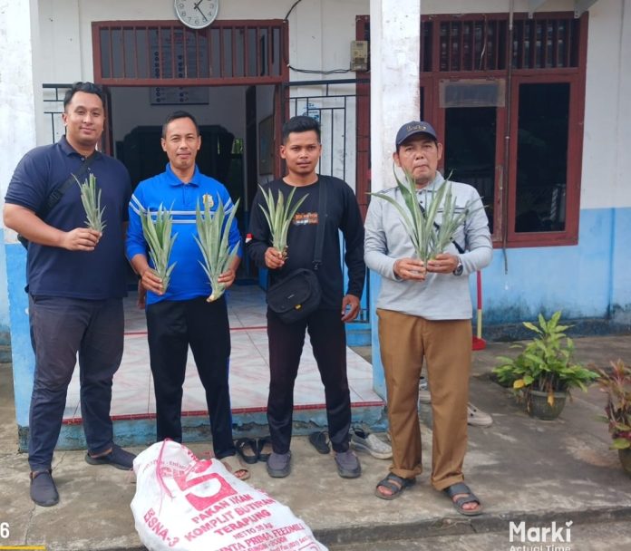 IMG-20260817-WA0022