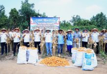 Polda Banten Panen 20 Ton Jagung di Atas Lahan 10 Hektare