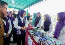 Tinawati Andra Soni: Posyandu 6 SPM Wujud Kolaborasi Bangun Pelayanan Masyarakat