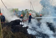 Brimob Polda Malut Gerak Cepat, Kebakaran Lahan di Tobelo Selatan Terkendali