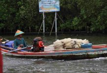 Mangrove dan Perikanan Jadi Peluang Ekonomi Pesisir Bekasi